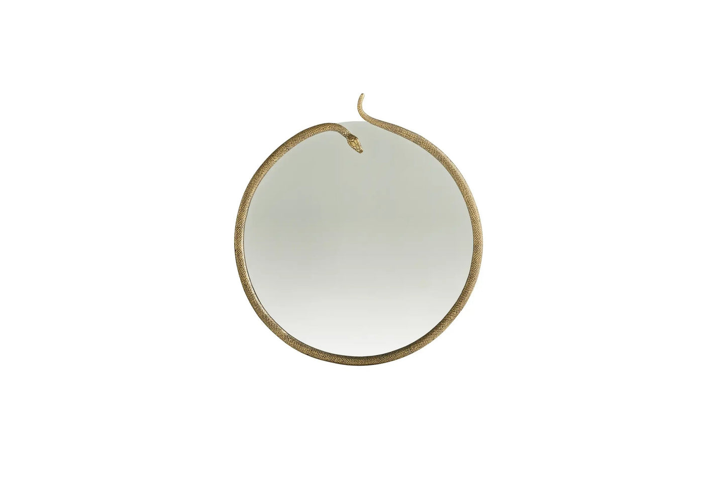 Roberto Cavalli Morelia Mirror