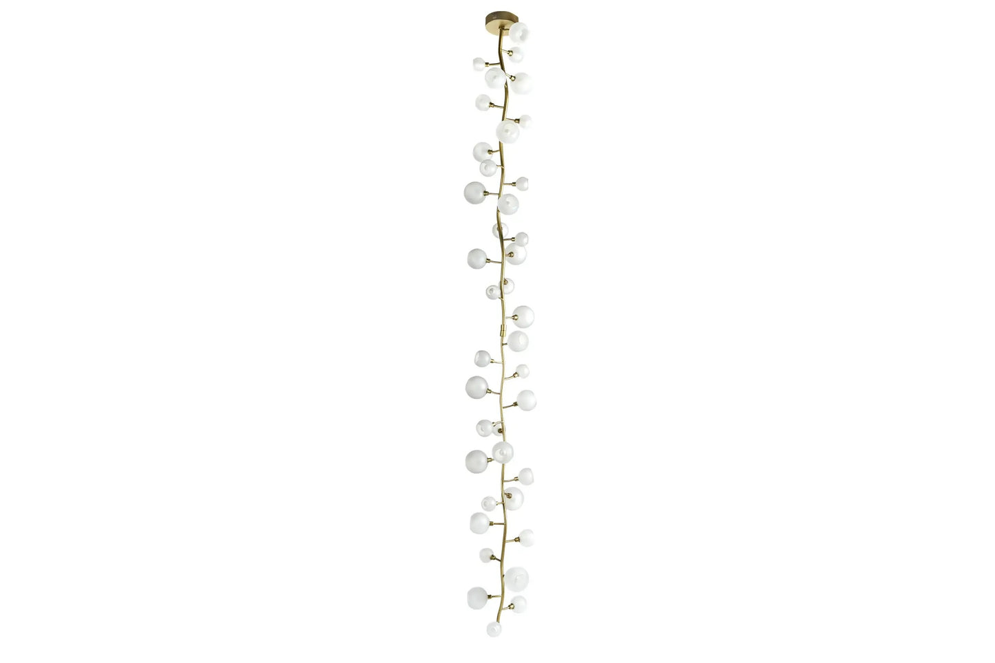 Roberto Cavalli White Berry Lighting