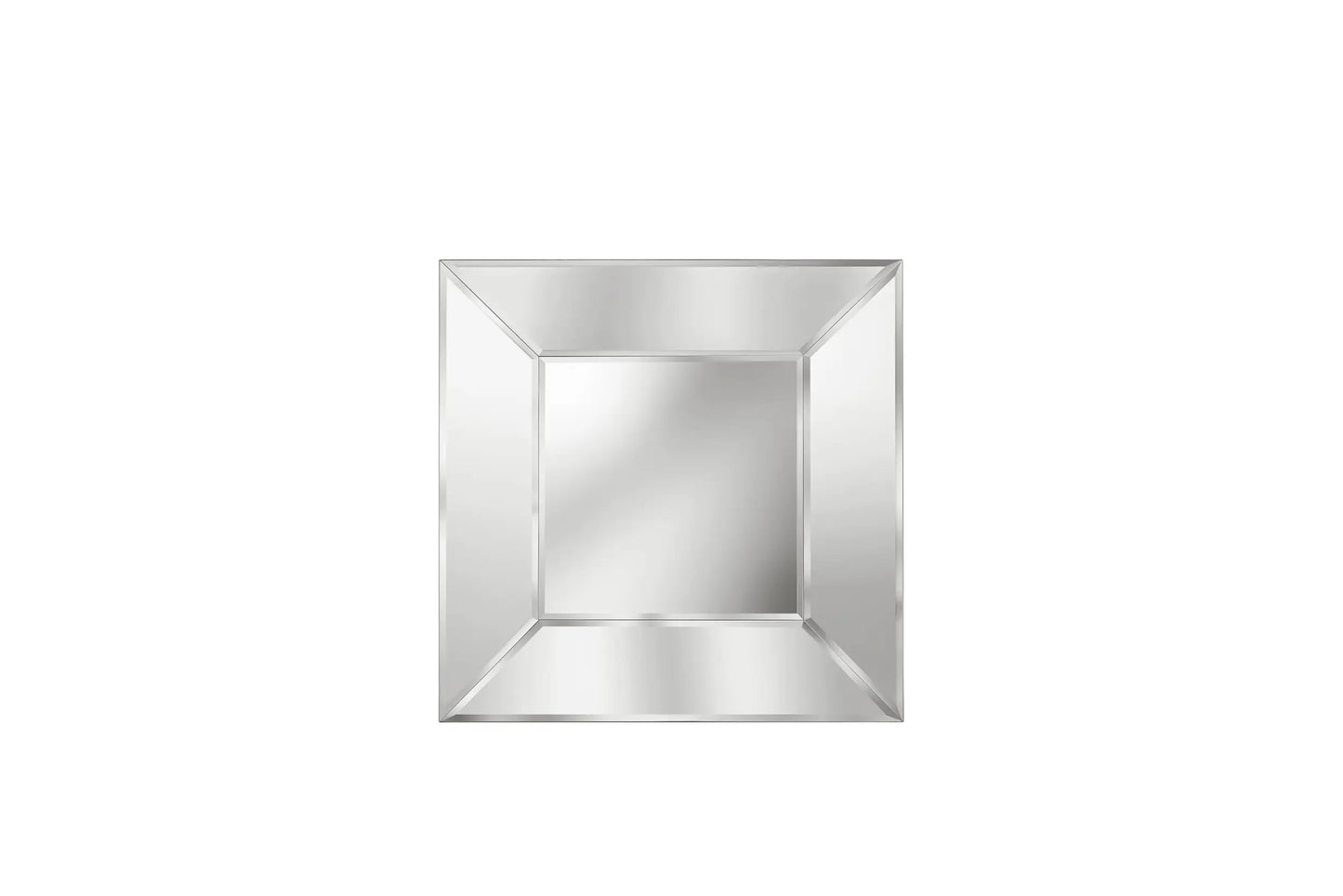Roberto Cavalli Selfie Mirror