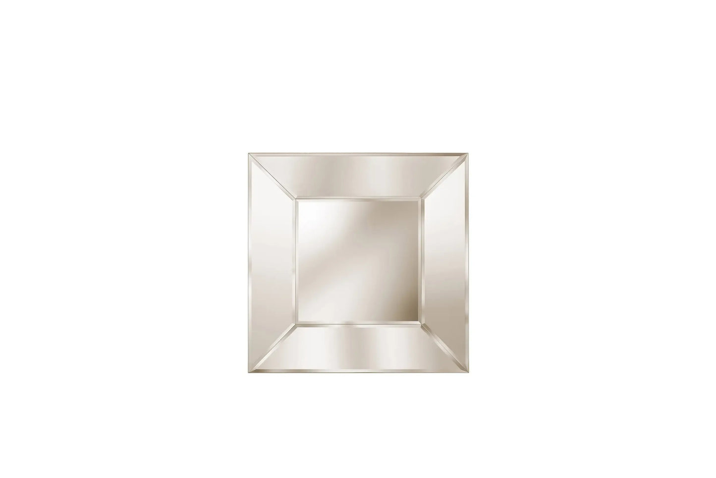 Roberto Cavalli Selfie Mirror