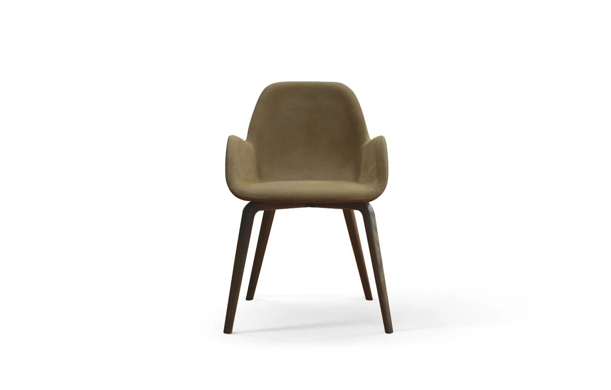 Amura Bridge Dinning Chair