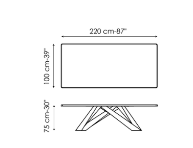 Bonaldo Big Dining Table
