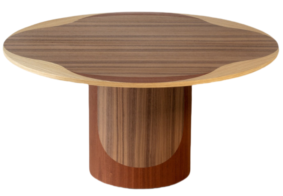Bruno Moinard Editions Leyden Coffee Table