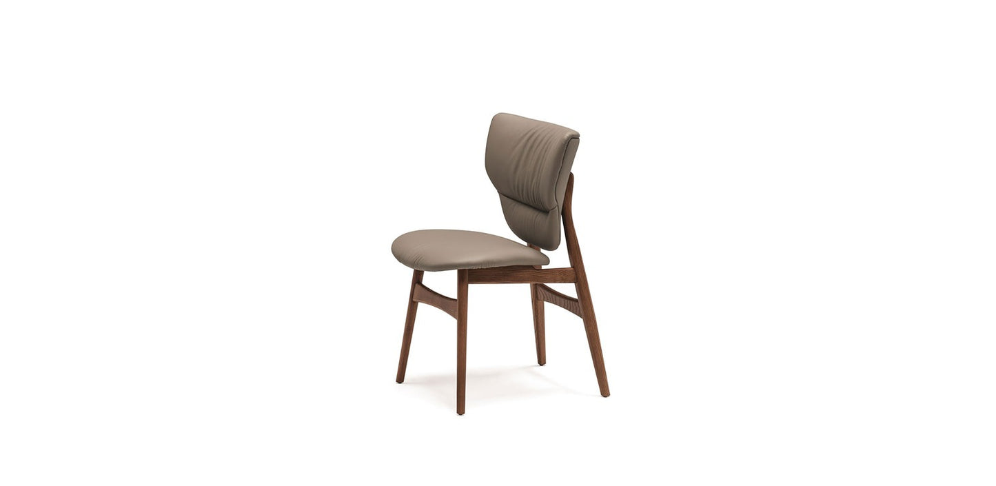 Cattelan Dumbo Dining Chair