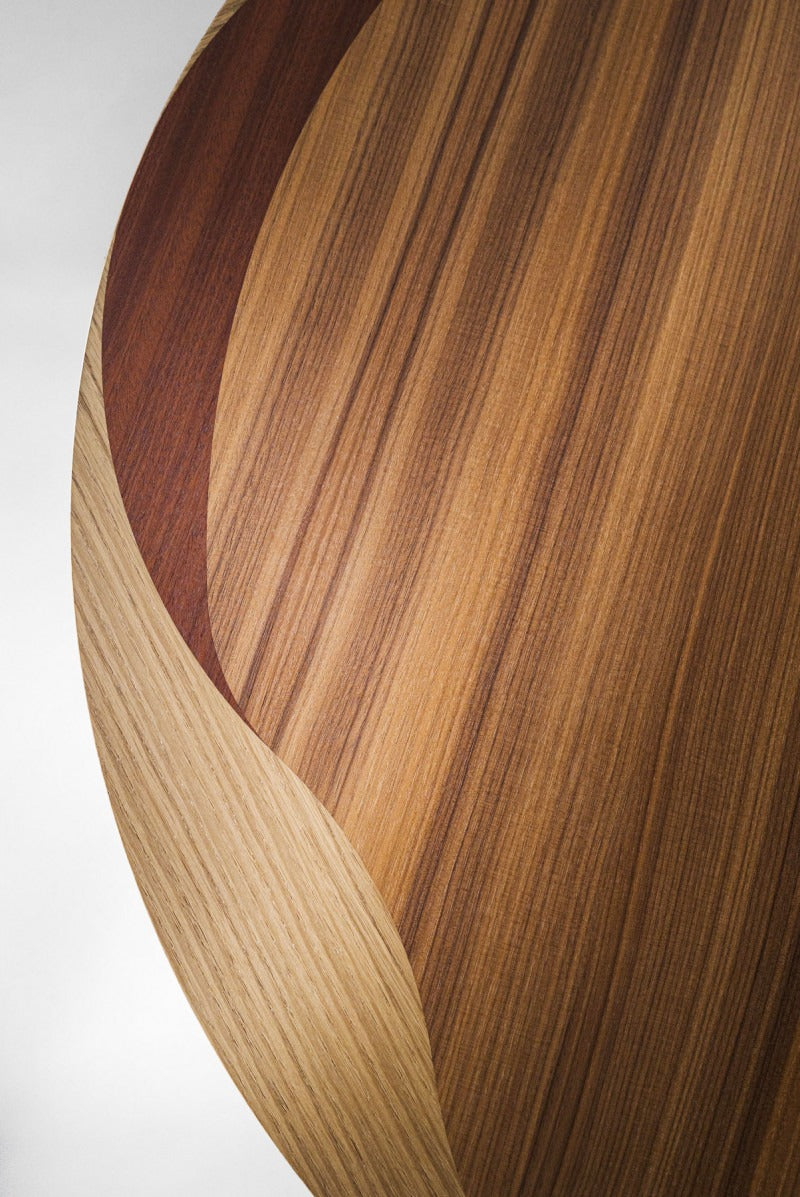 Bruno Moinard Editions Leyden Coffee Table