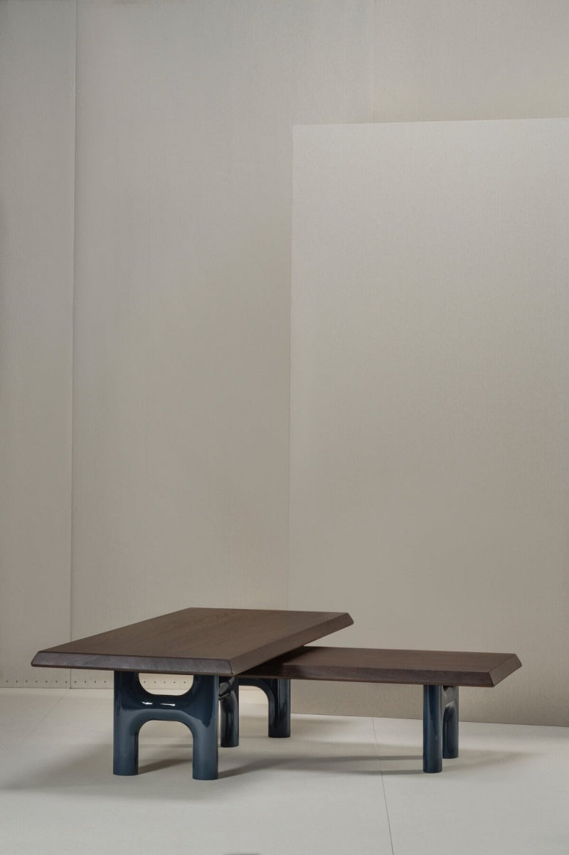 Bruno Moinard Editions Forsa Coffee Table